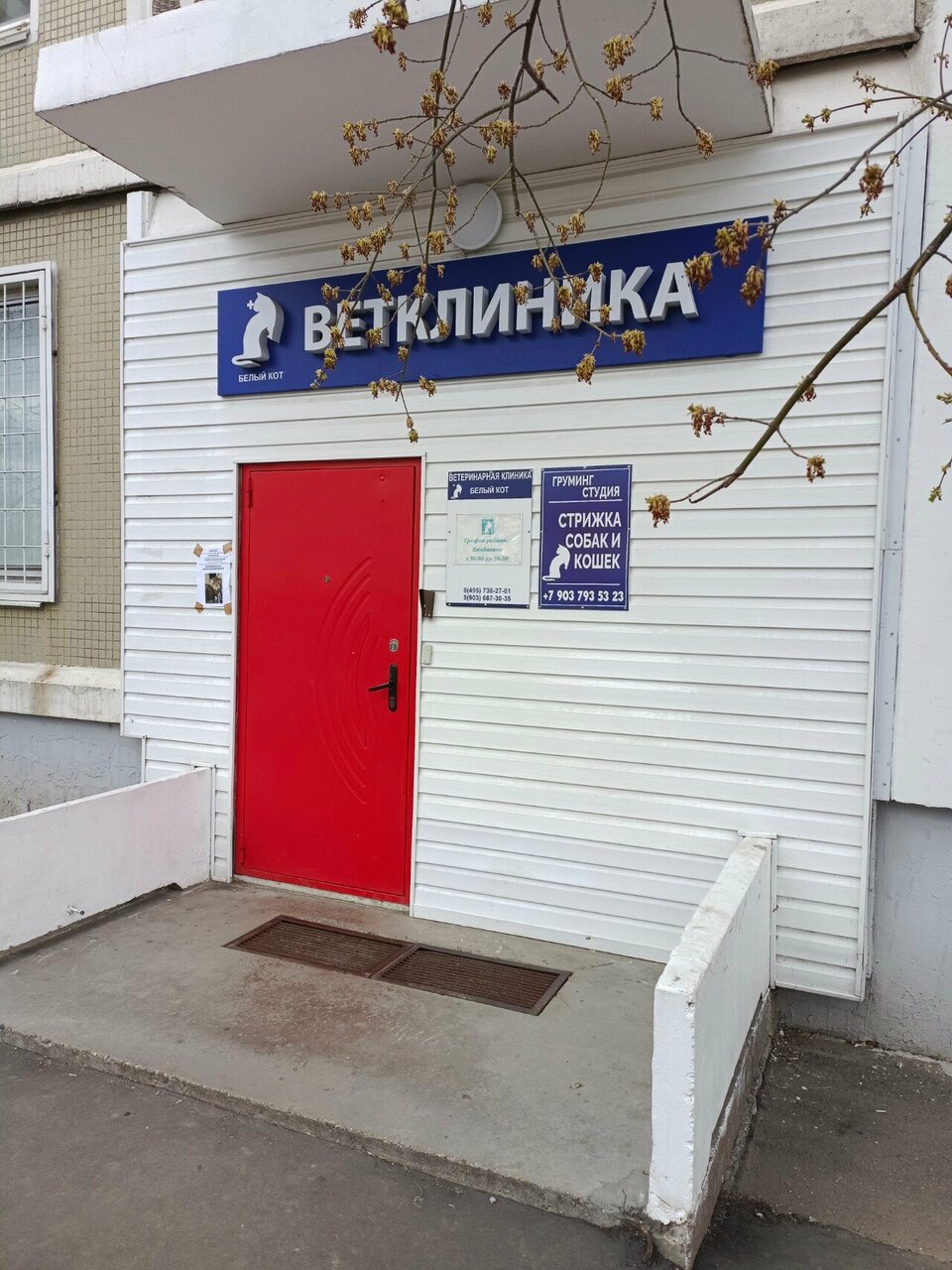 Фото клиники 68541