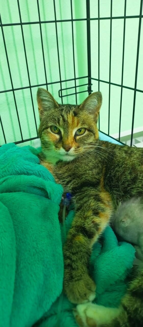 more clinic photos 20757