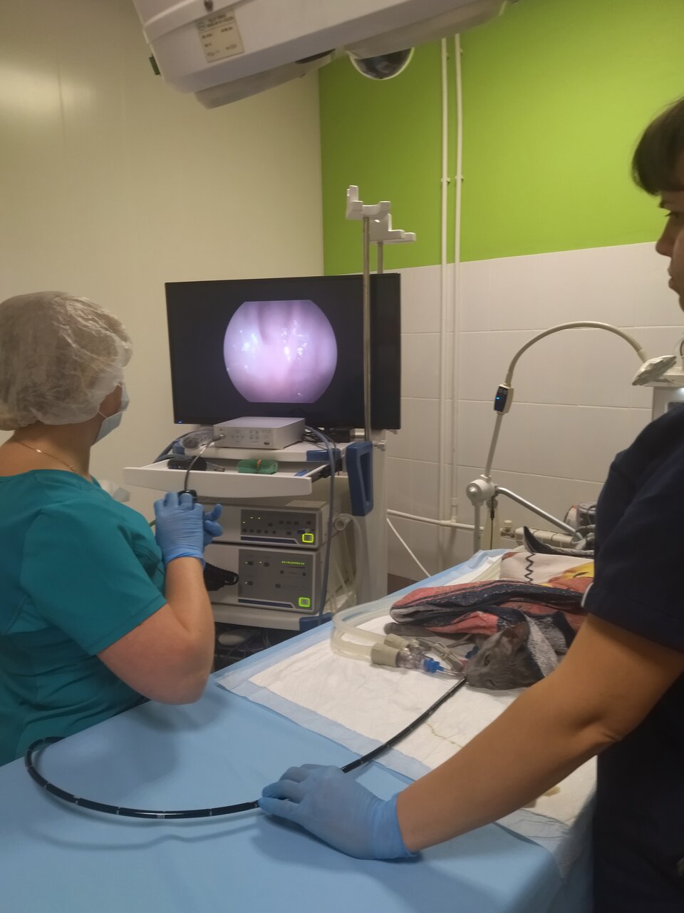 Ещё фото клиники 79945