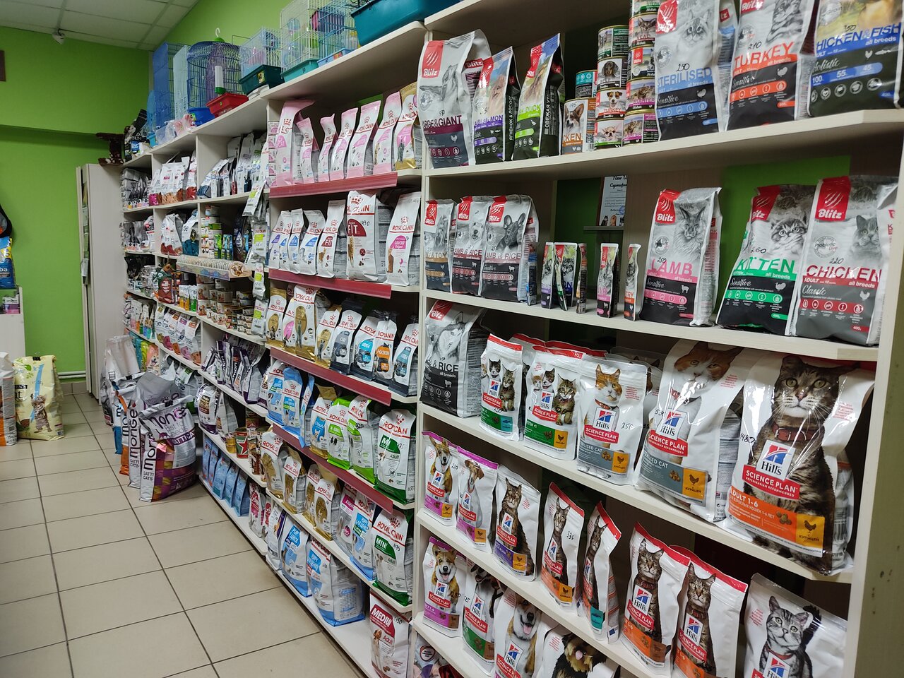 Четыре лапы