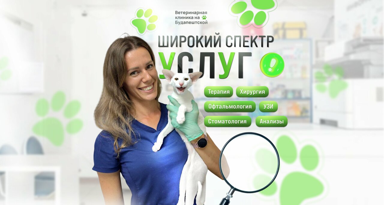 Фото «Ветеринарная клиника на Будапештской»