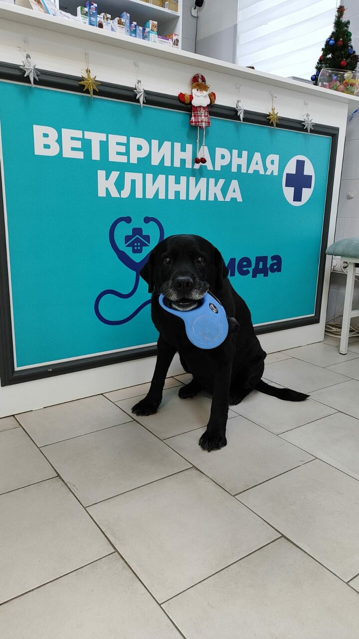 more clinic photos 21137