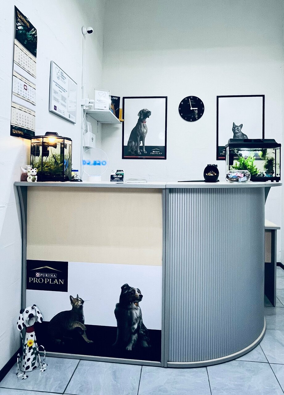 more clinic photos 29438