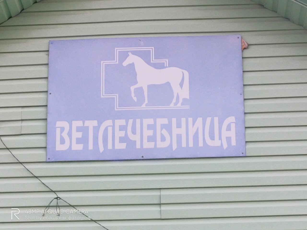 Фото «Терветуправление № 2, Рогачевская участковая ветеринарная лечебница»