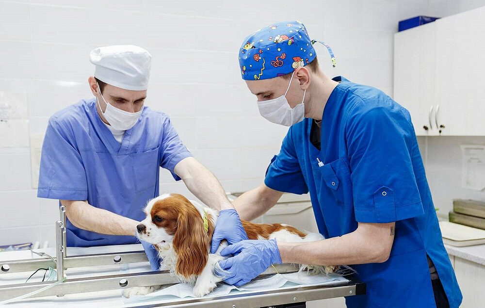 clinic general image