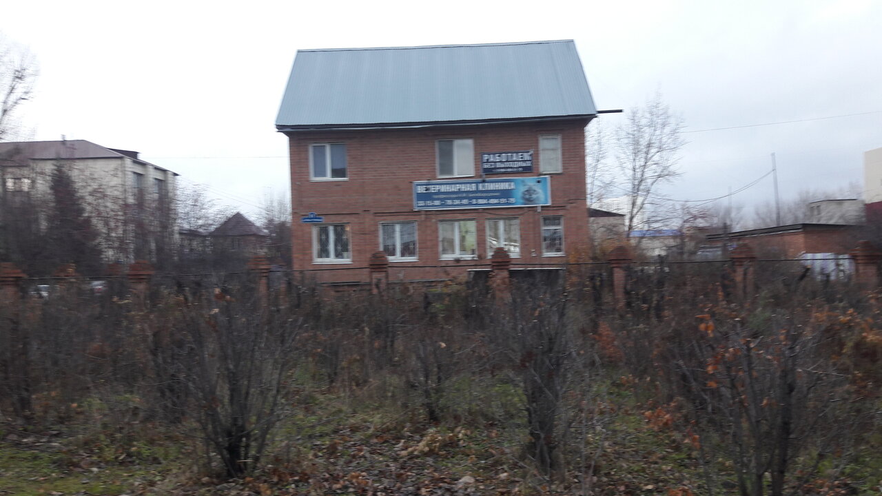 Фото клиники 61798