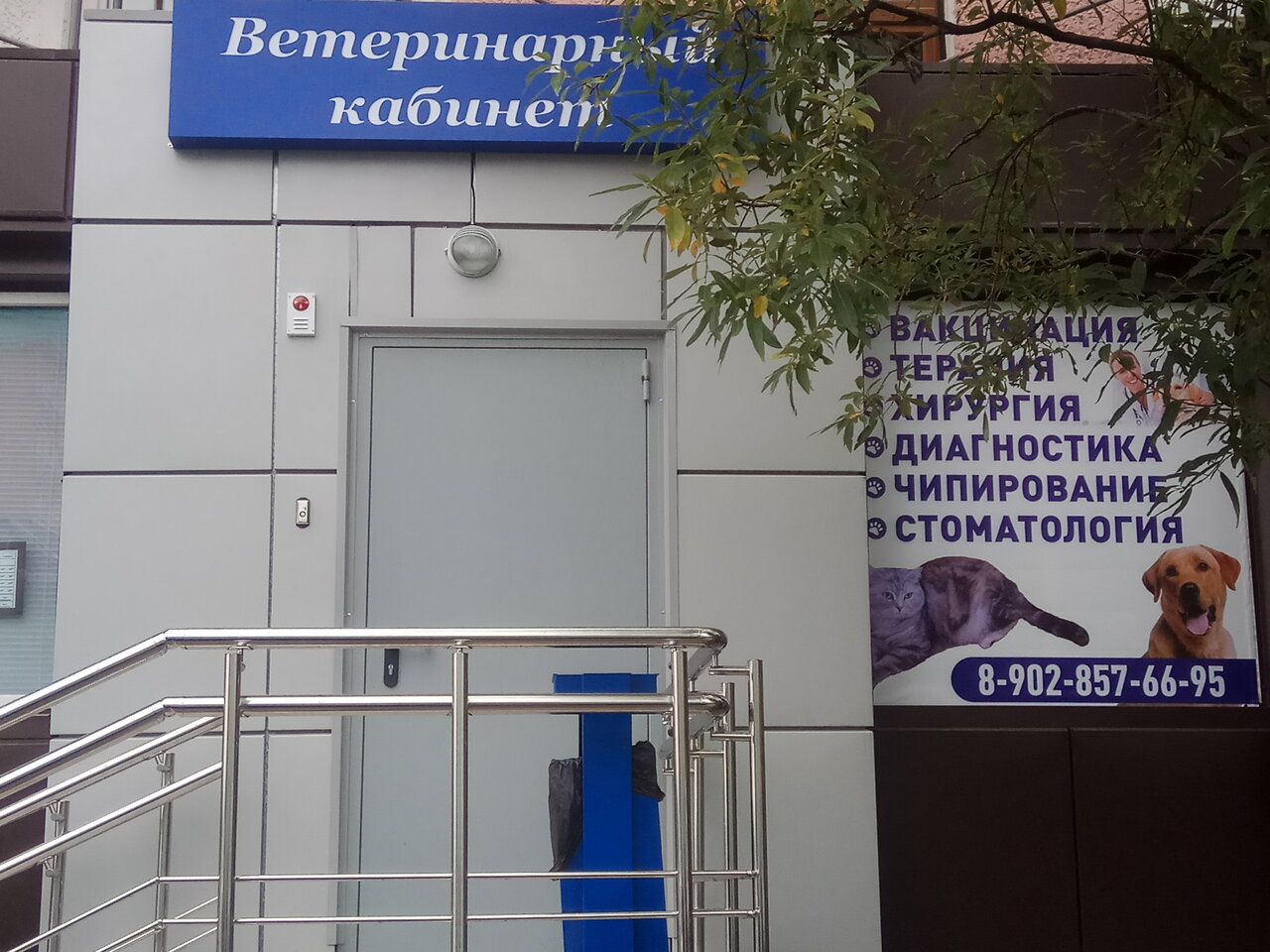 Ветеринарный кабинет