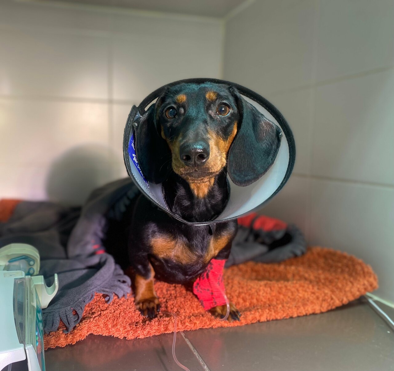 more clinic photos 74412