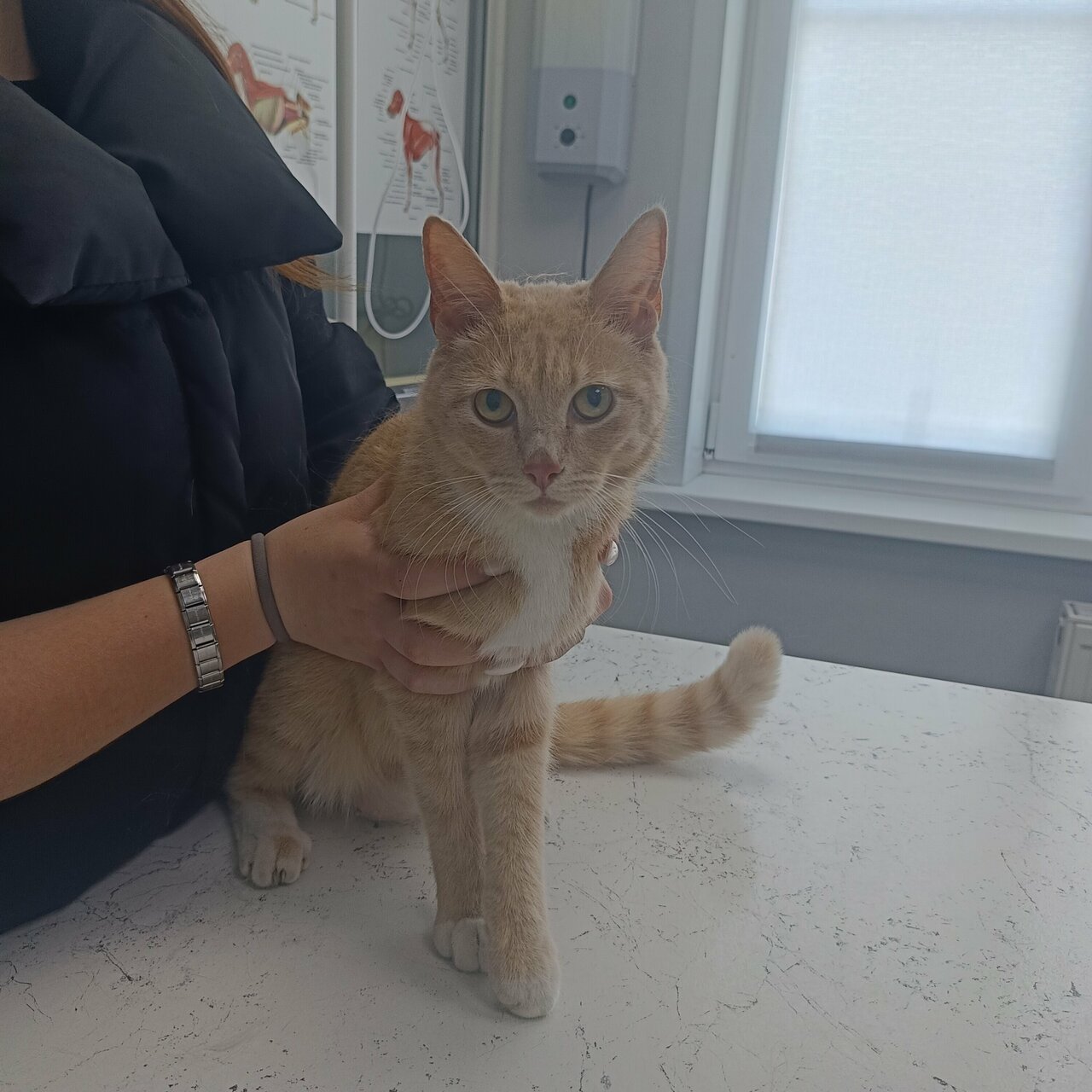 clinic general image