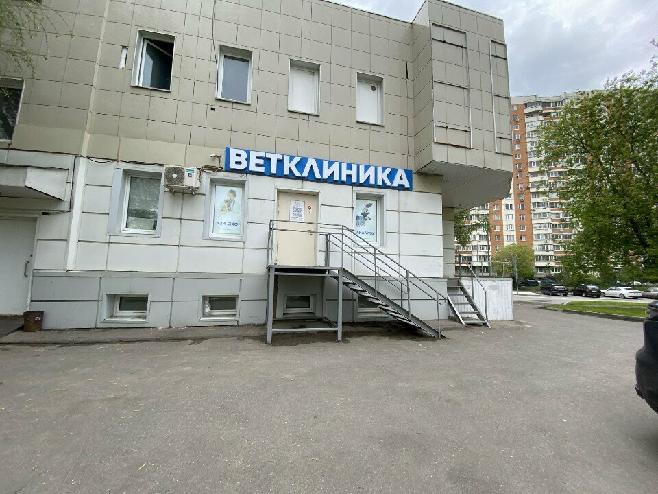 Фото «Зоомедик»