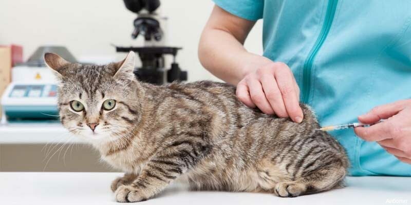 clinic general image