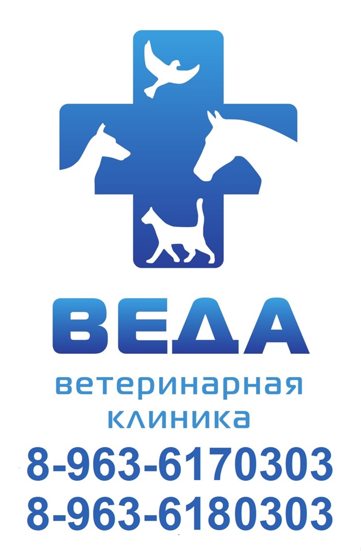 Логотип клиники