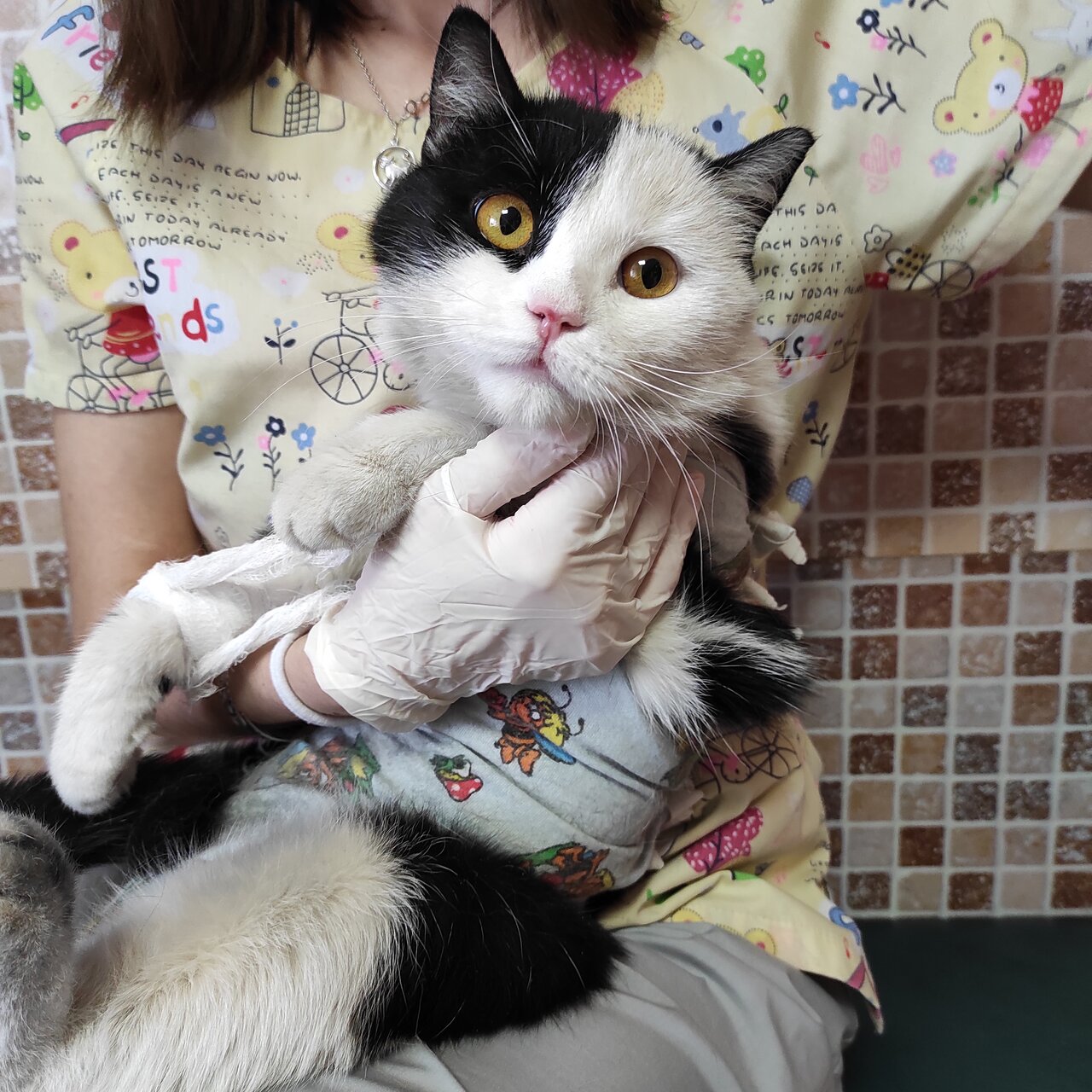 clinic general image