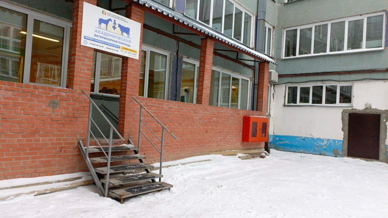 Академическая ветеринарная помощь