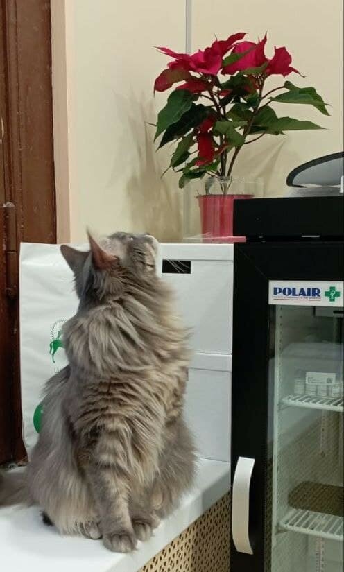 Фото клиники 16020
