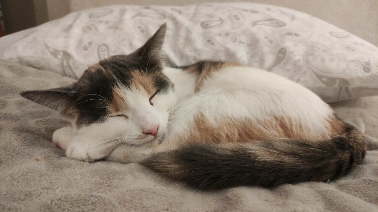 clinic general image