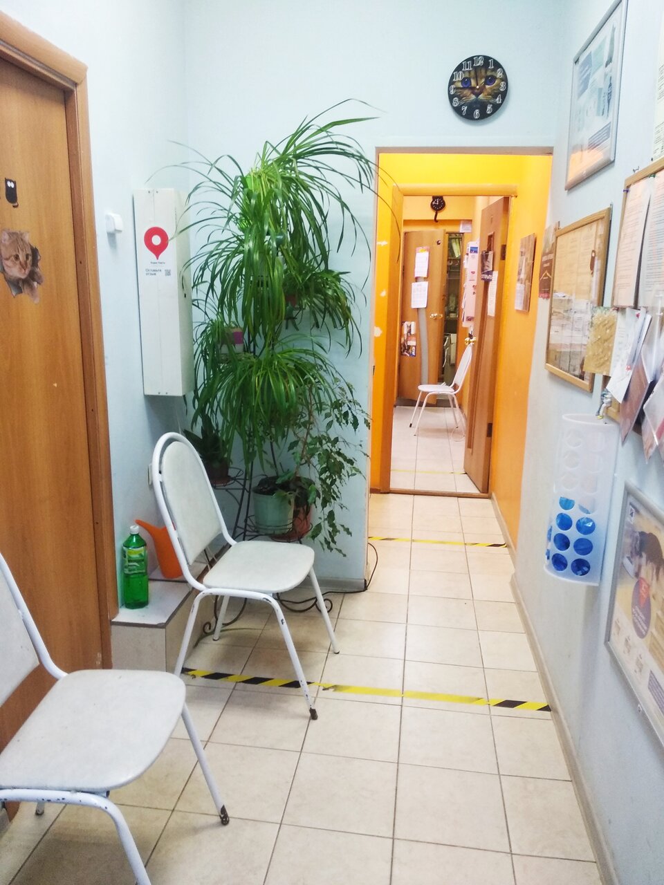 Фото клиники 79257