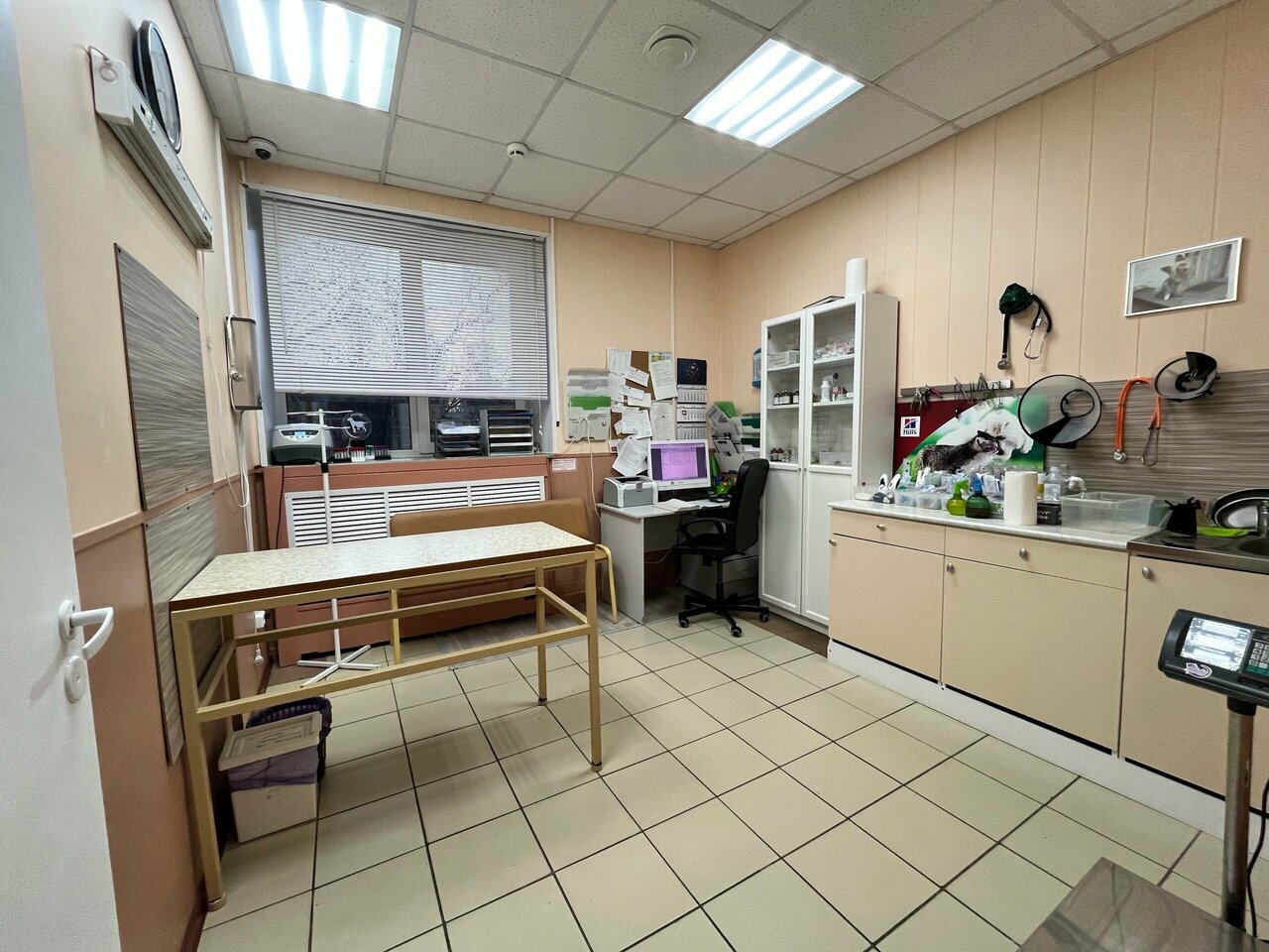 more clinic photos 67880