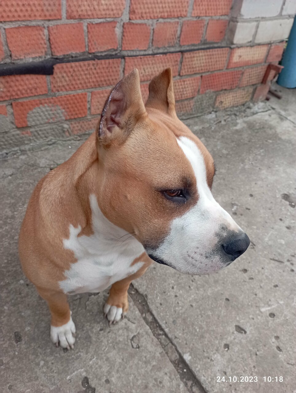 more clinic photos 47284