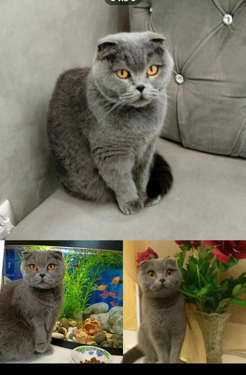 Фото клиники 48587