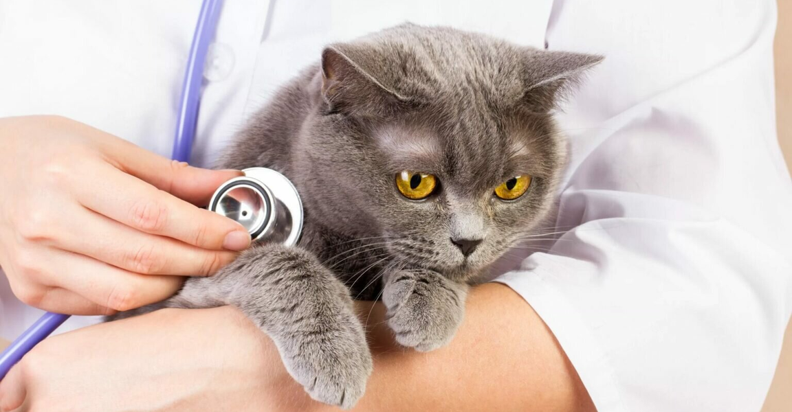 clinic general image