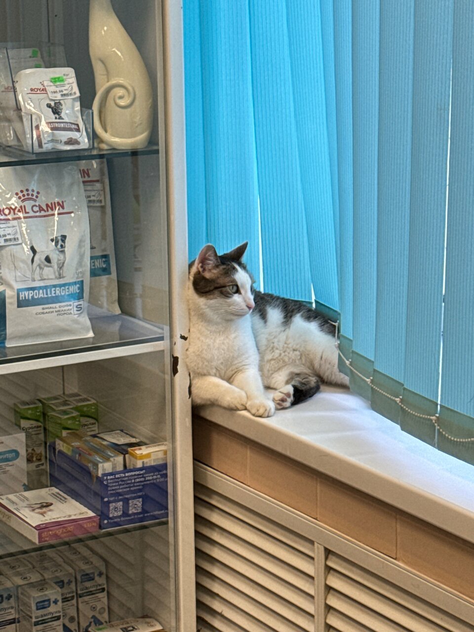 more clinic photos 25161