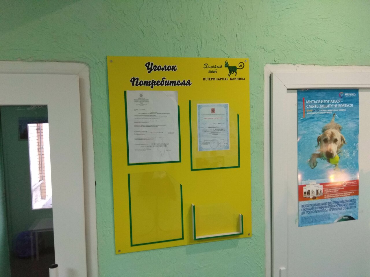 Зелёный кот