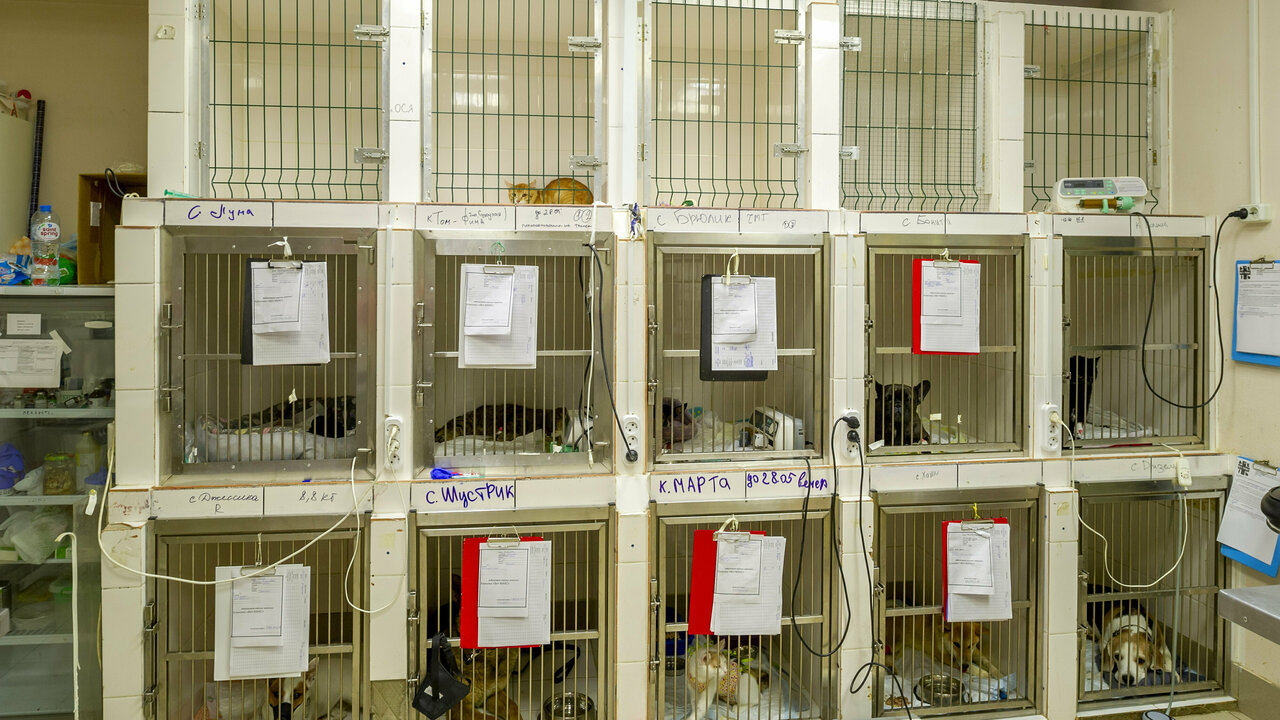 clinic general image