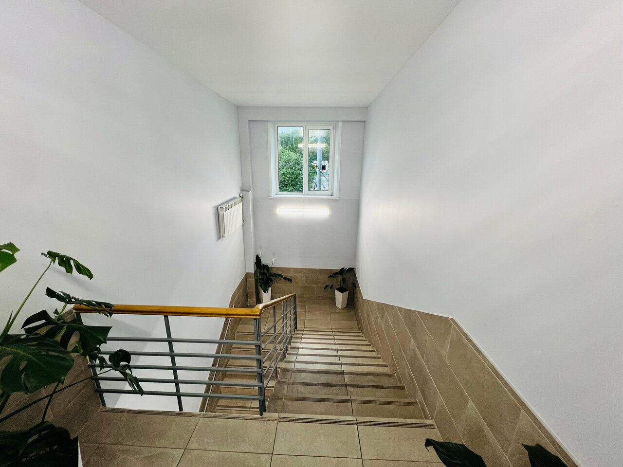 Фото клиники 83444