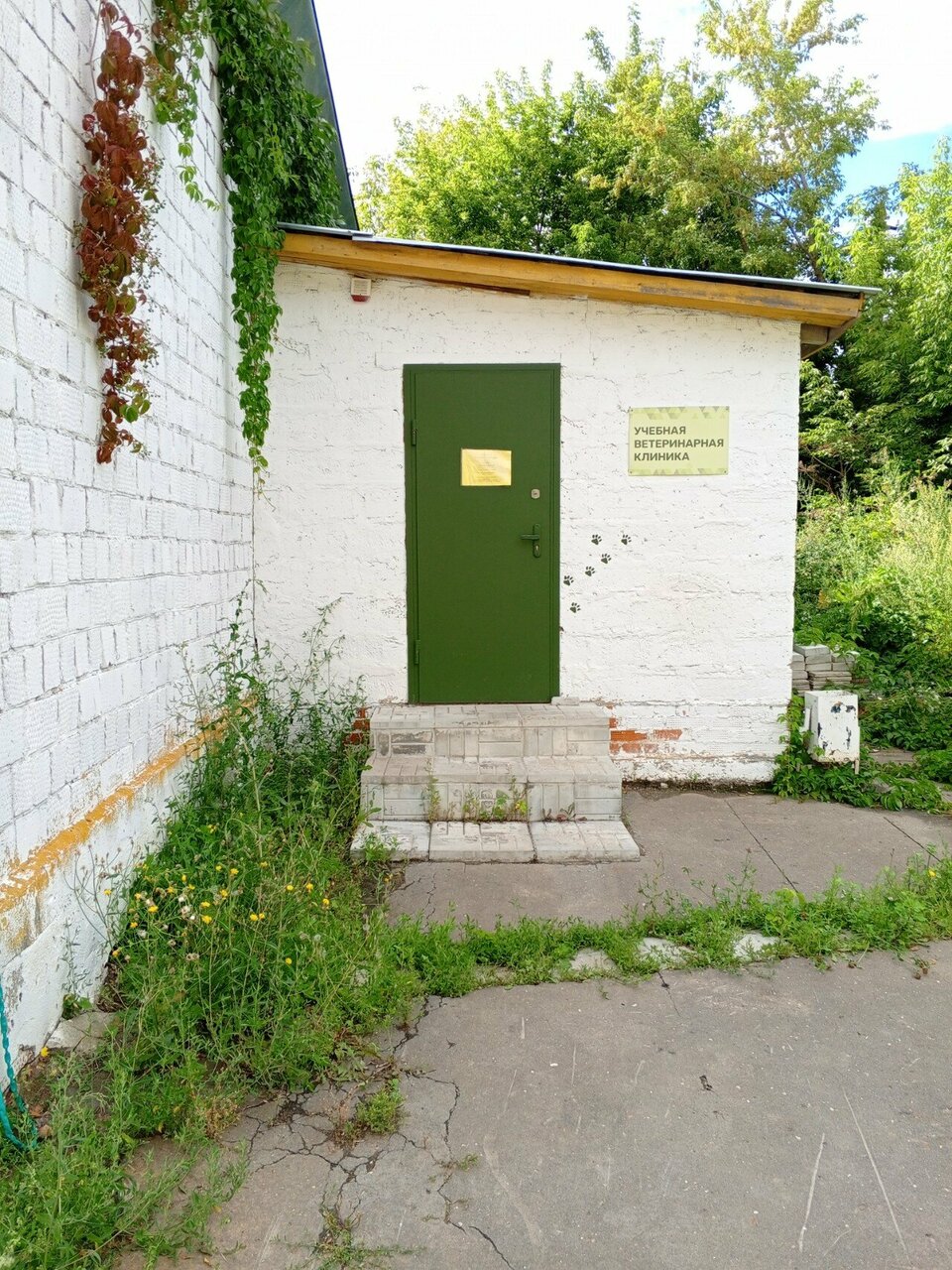 Фото клиники 31526