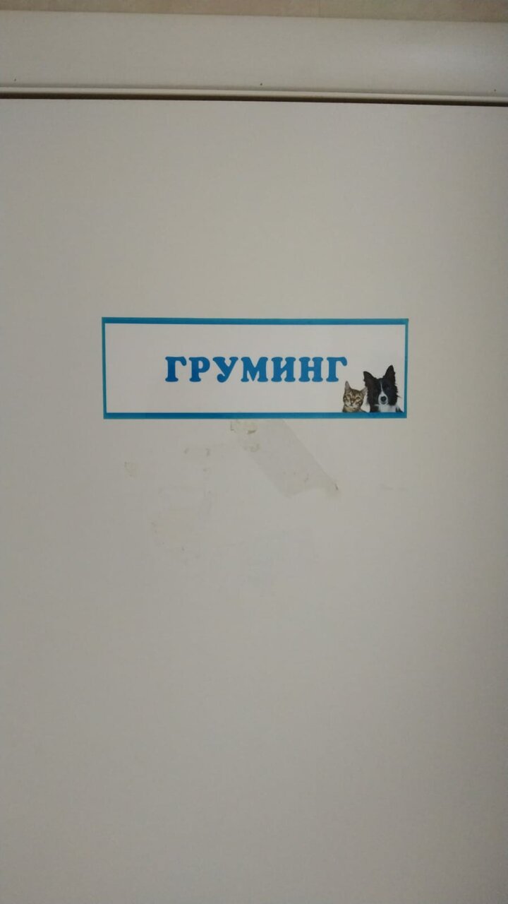 Фото клиники 42347