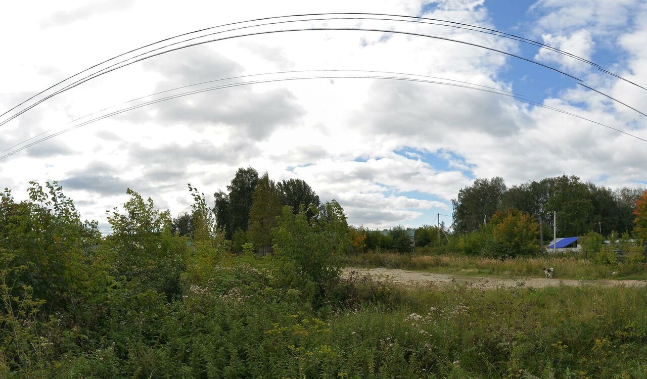 Березовская ветеринарная лечебница