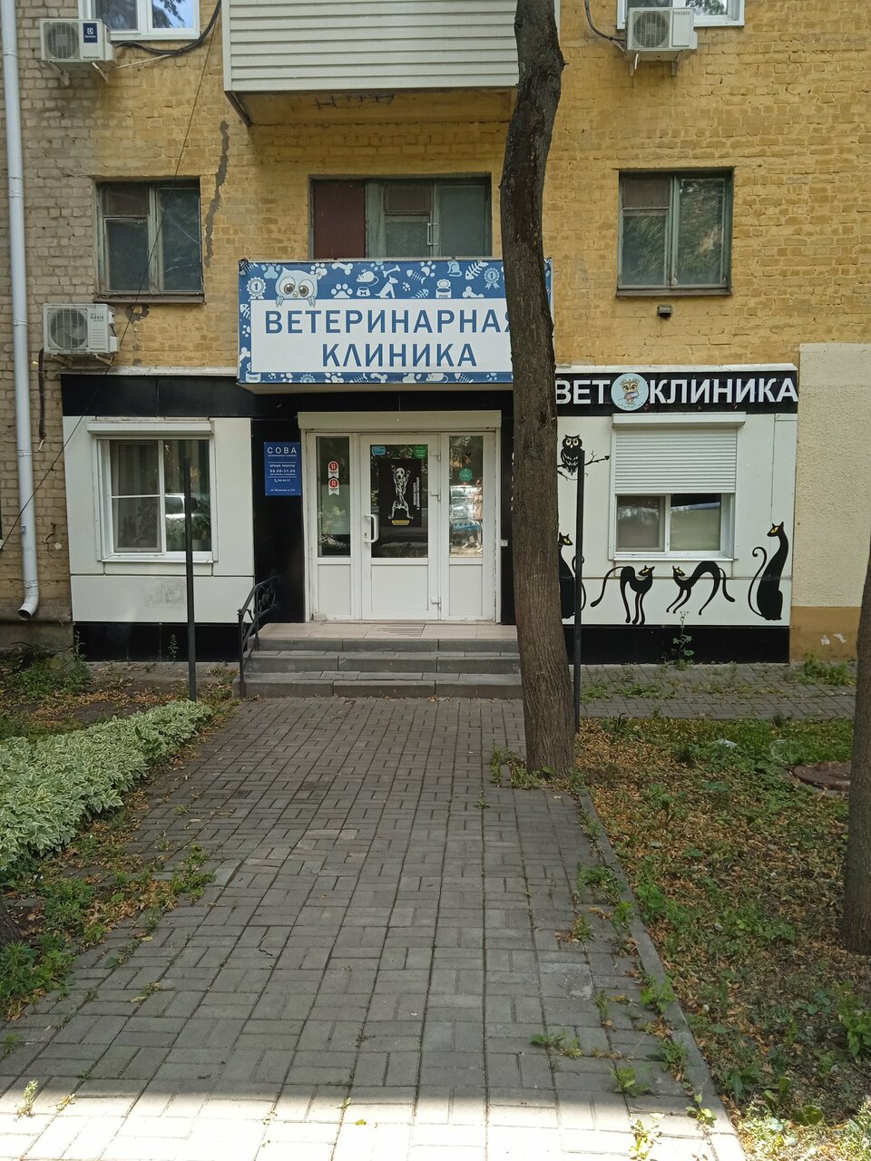 Фото клиники 35201