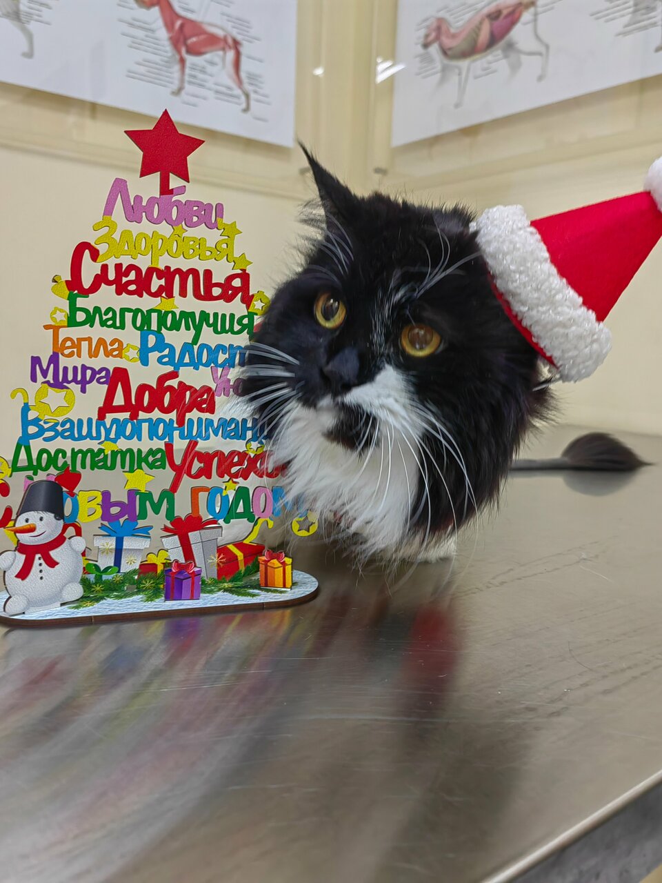 Фото клиники 43194