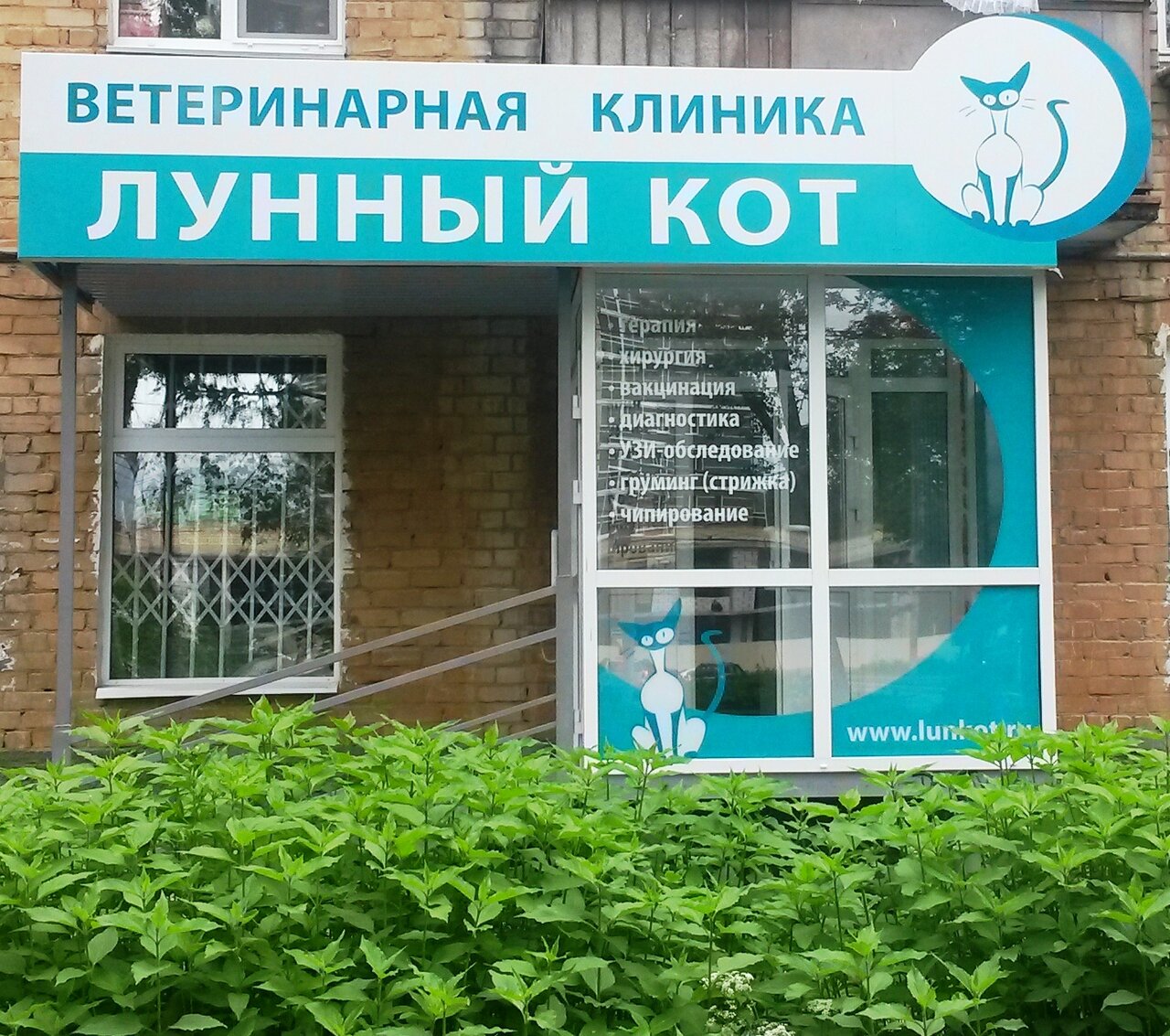Фото клиники Лунный кот