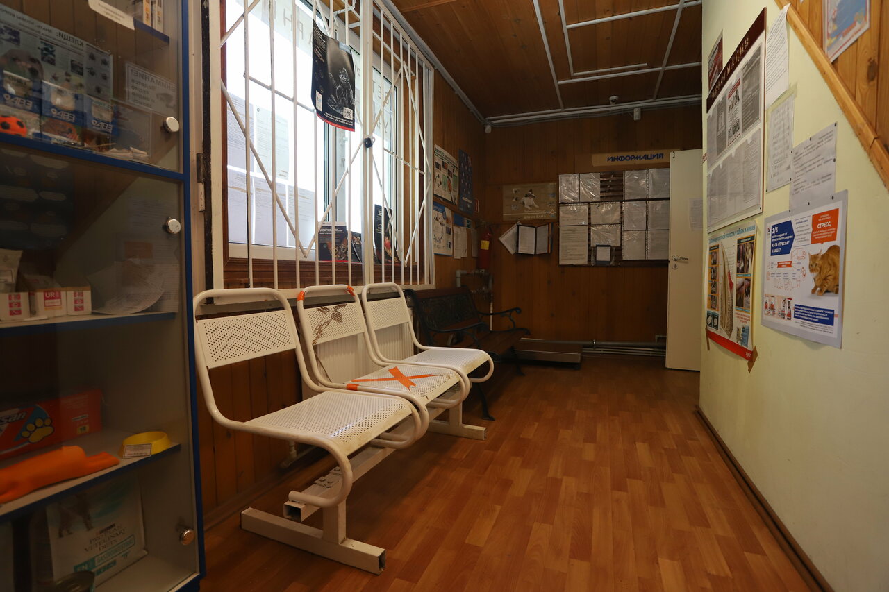 Фото клиники 21193