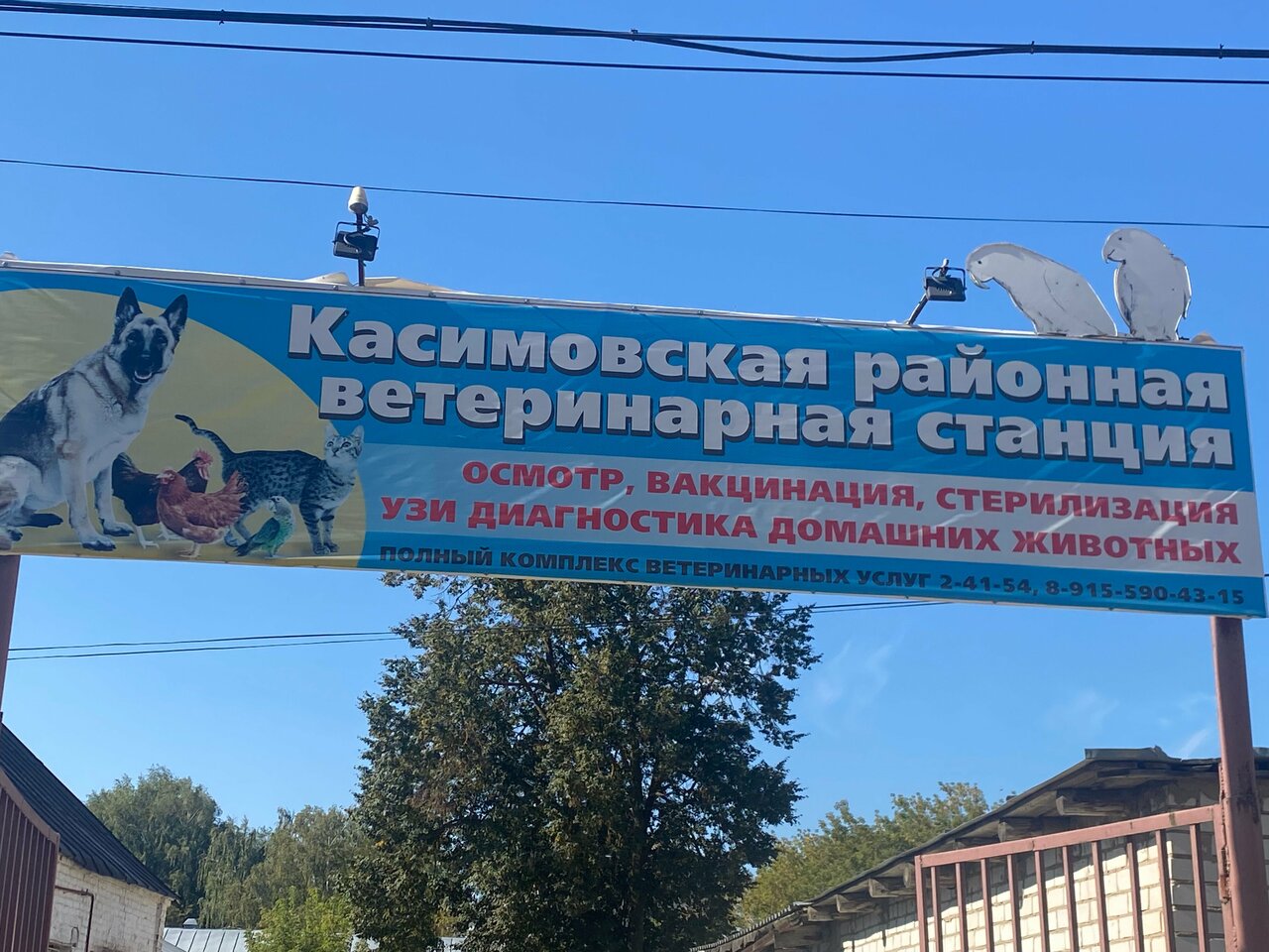 Касимовская райветстанция