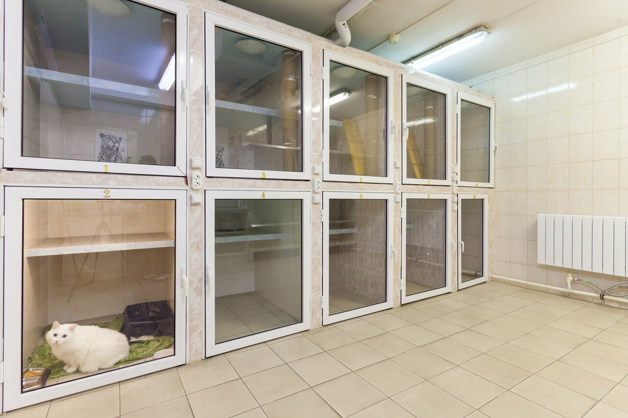 more clinic photos 1894