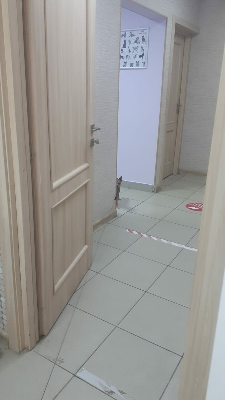 Фото клиники 45873