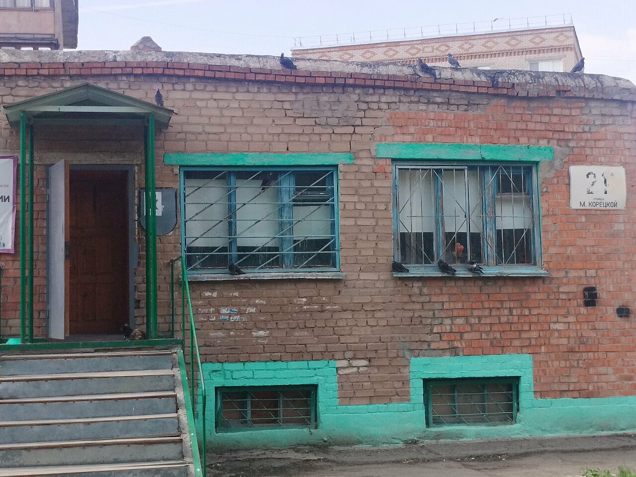 Центр стерилизации животных