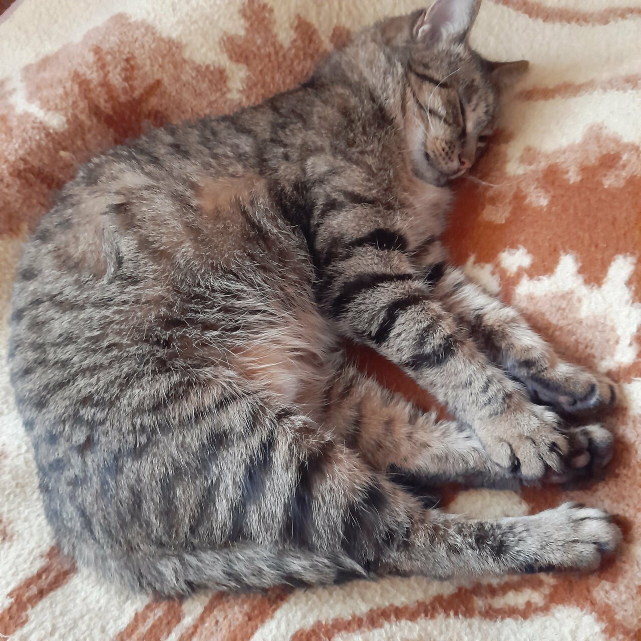 МаксМаркет