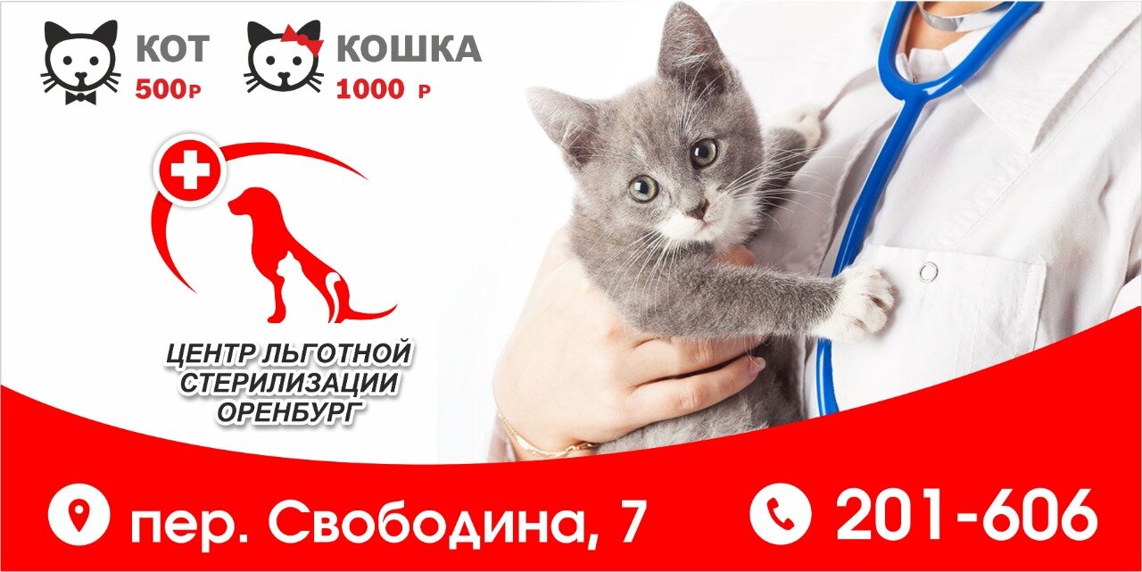 Центр льготной стерилизации