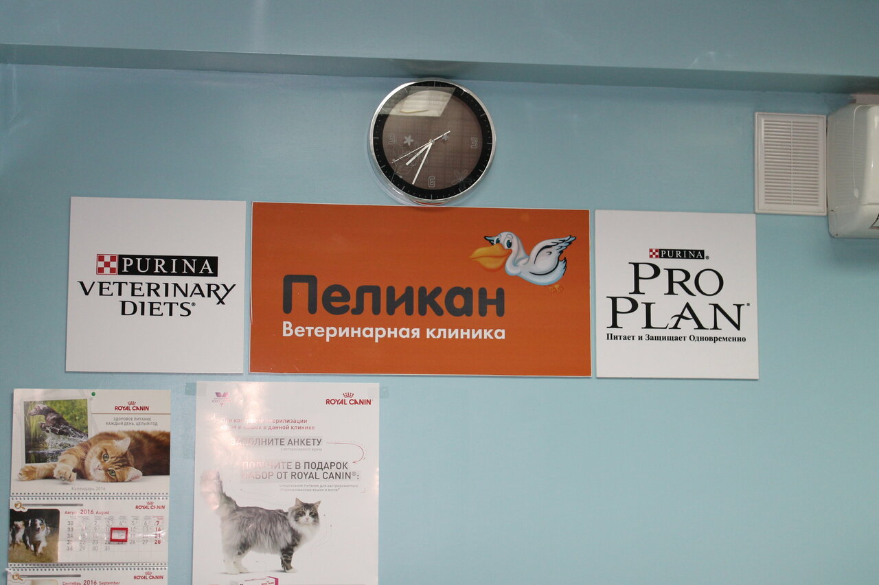 Фото клиники 63563