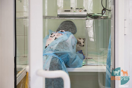 more clinic photos 7775