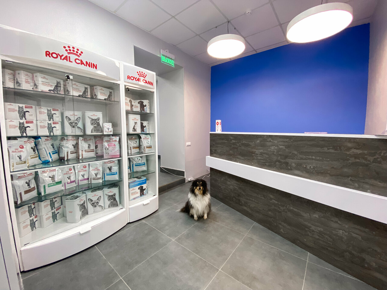 more clinic photos 12691