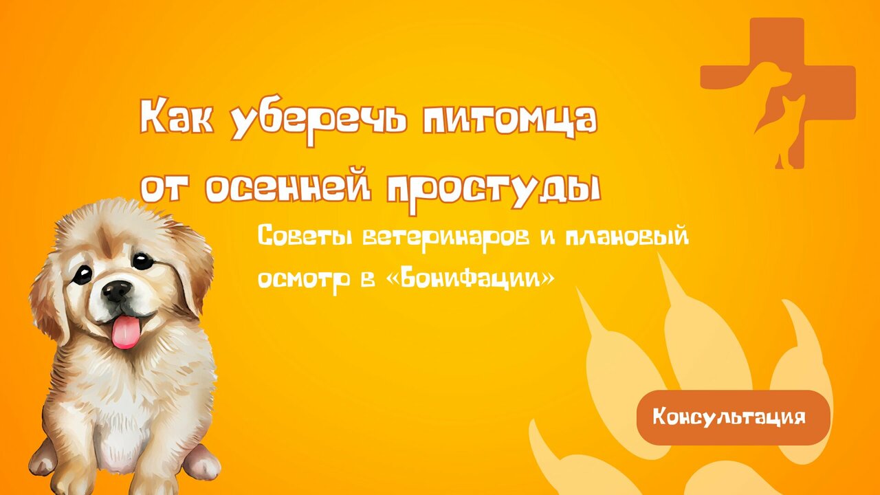 Фото клиники 11350