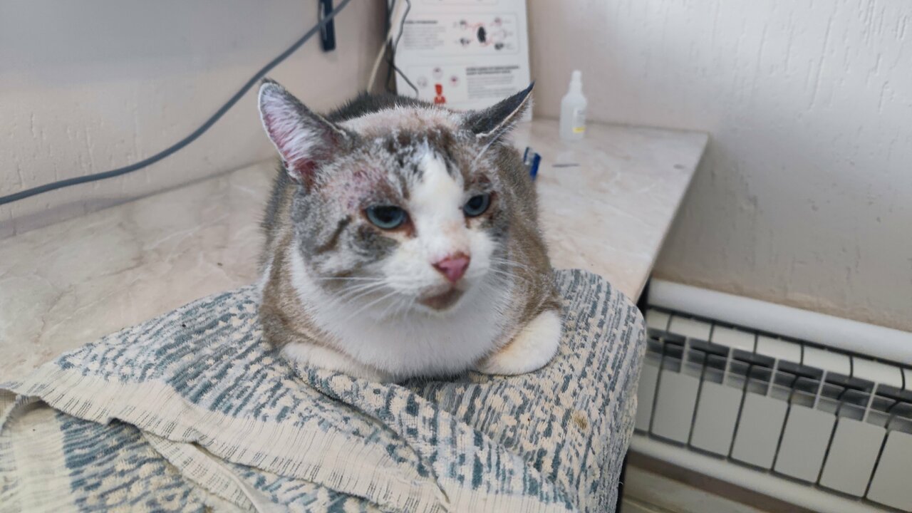 more clinic photos 70241