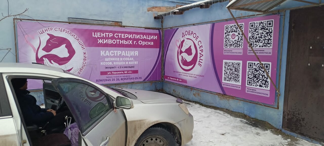 Центр льготной стерилизации животных