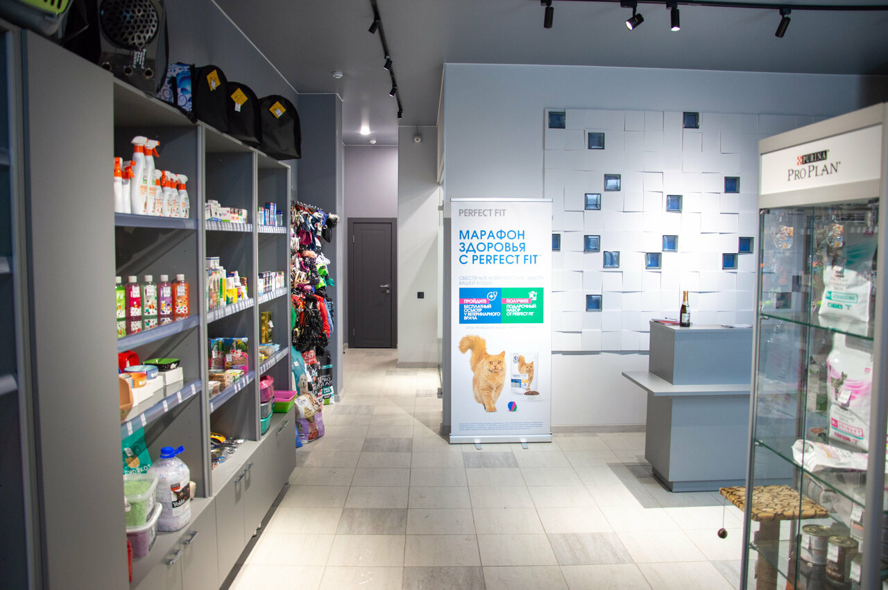 Четыре лапы