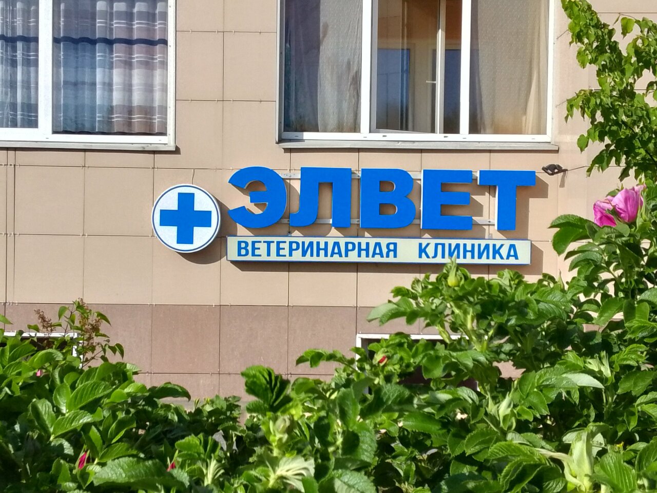 Элвет